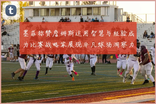 墨菲称赞詹姆斯运用智慧与经验成为比赛战略家展现非凡球场洞察力