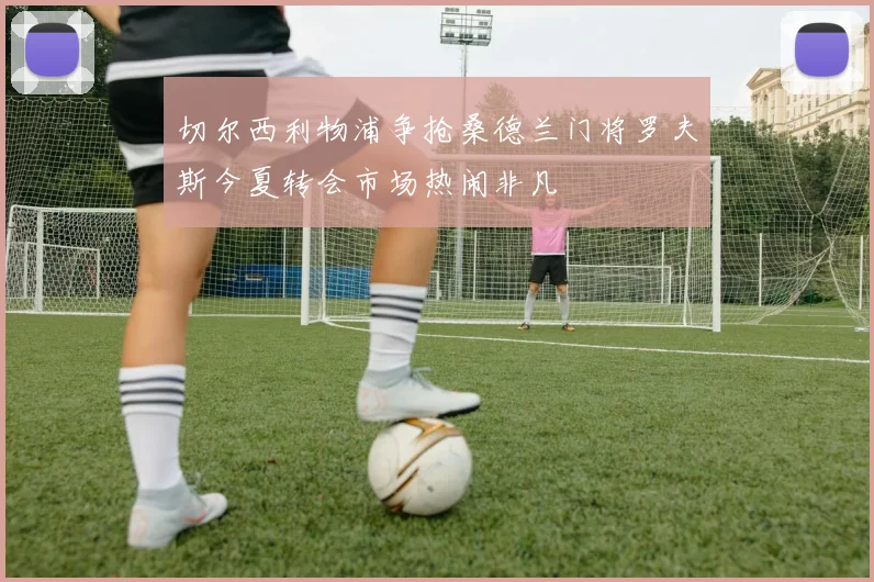 切尔西利物浦争抢桑德兰门将罗夫斯今夏转会市场热闹非凡